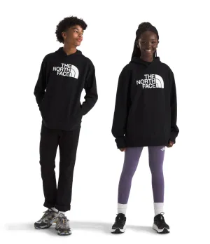 Big Kids' Half Dome Camp Fleece Pullover Hoodie (NF0A8B1P)