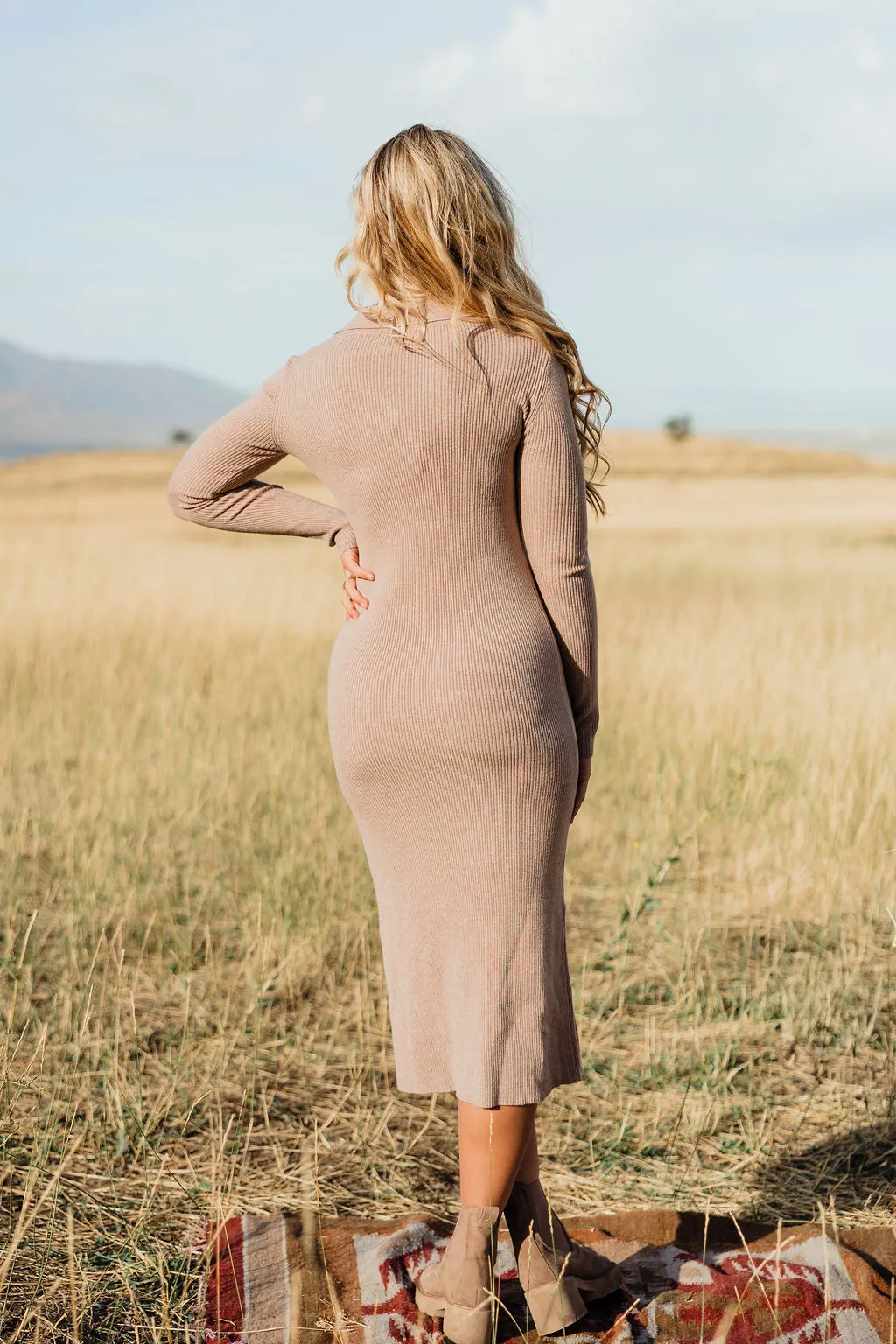 Brodee Dress-Taupe