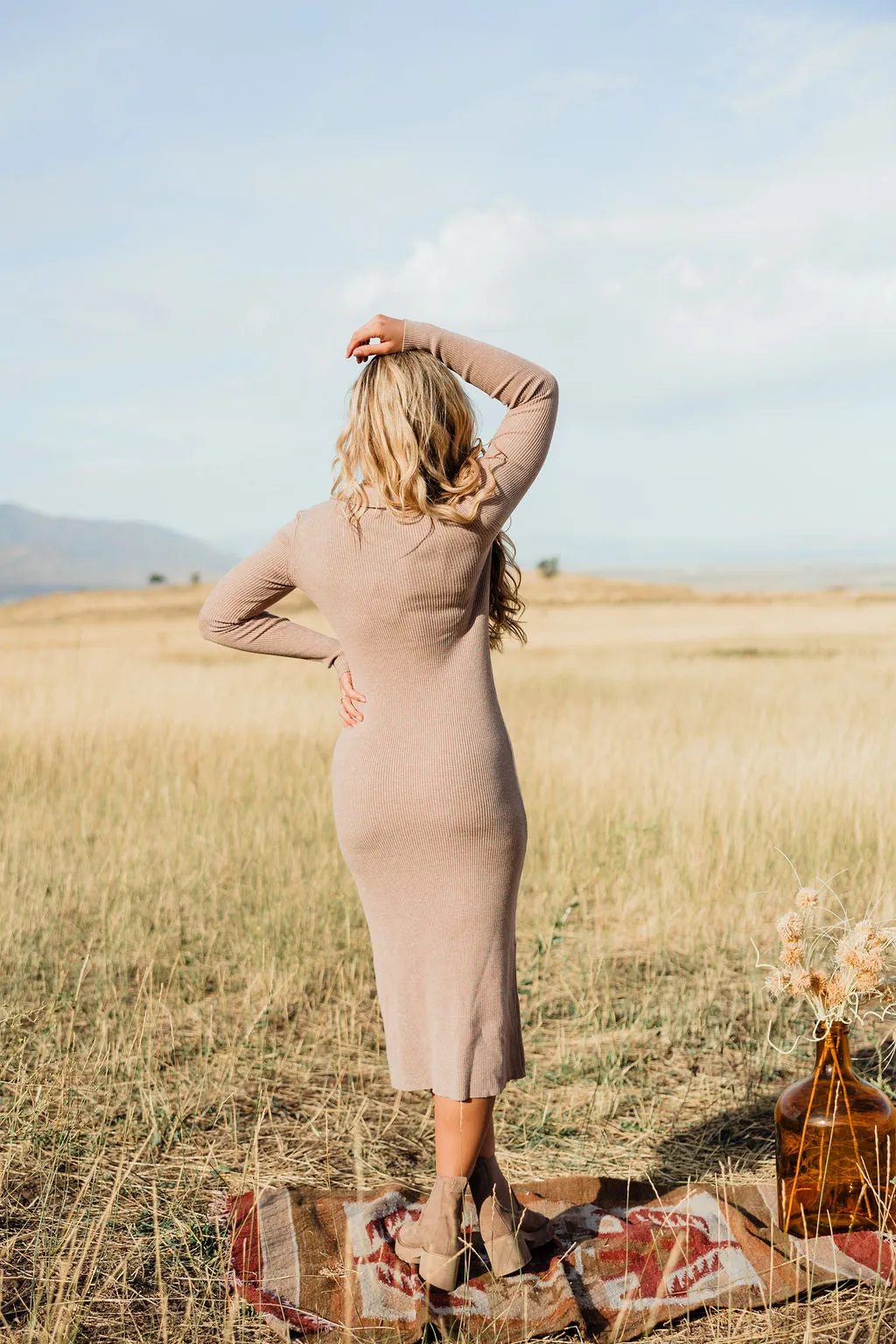 Brodee Dress-Taupe