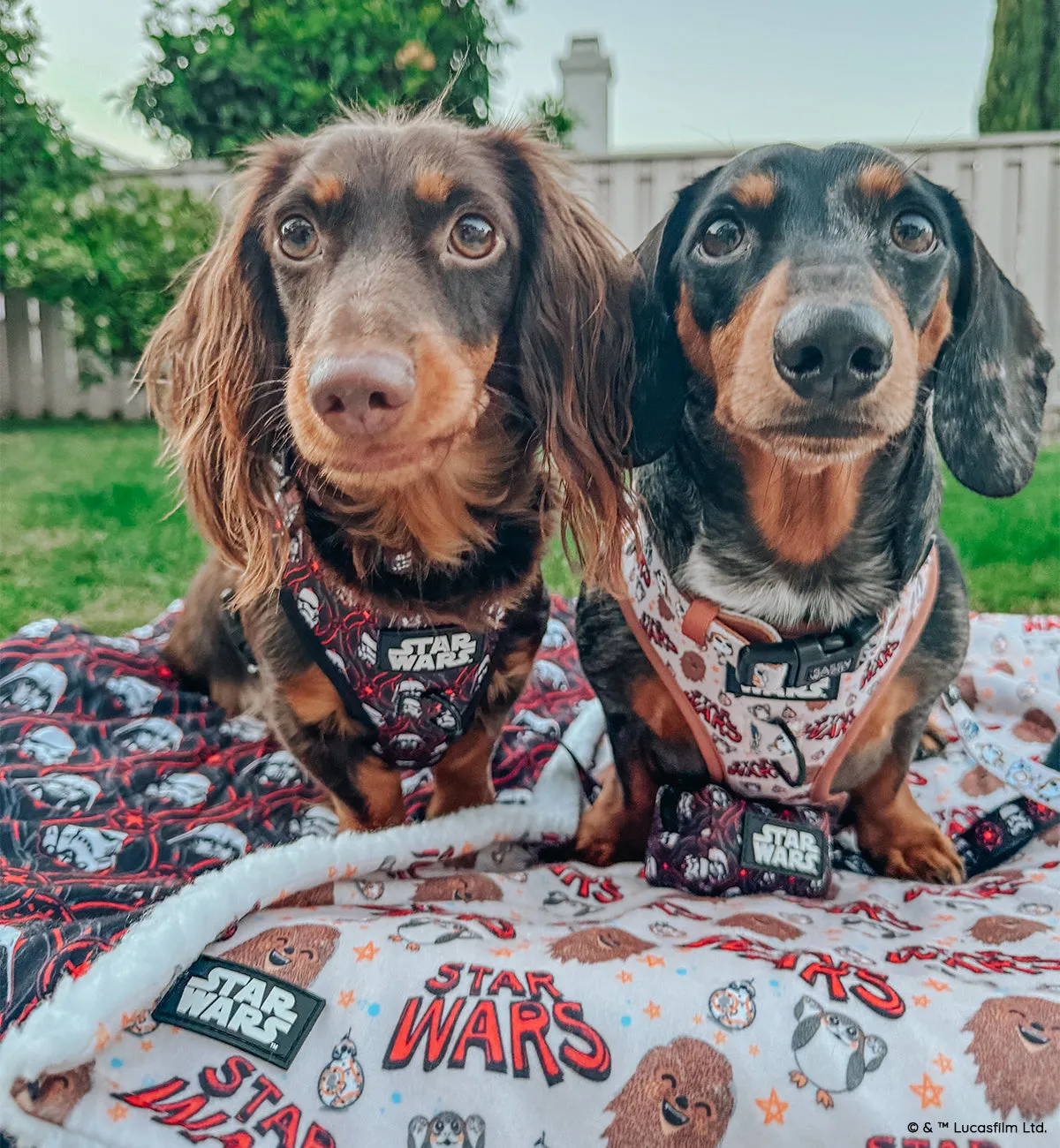 Dog Blanket - STAR WARS™ The Rebel Alliance